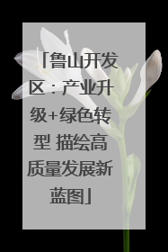 鲁山开发区：产业升级+绿色转型 描绘高质量发展新蓝图
