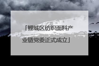 鲤城区纺织面料产业链党委正式成立