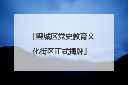 鲤城区党史教育文化街区正式揭牌