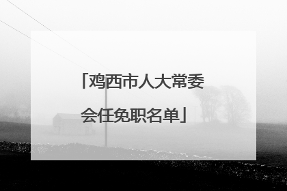 鸡西市人大常委会任免职名单