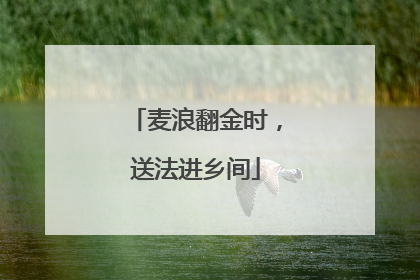 麦浪翻金时，送法进乡间