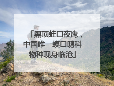 黑顶蛙口夜鹰，中国唯一蟆口鸱科物种现身临沧