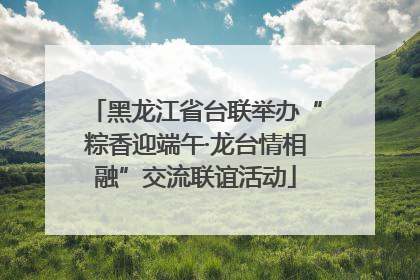 黑龙江省台联举办“粽香迎端午·龙台情相融”交流联谊活动
