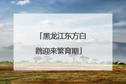 黑龙江东方白鹳迎来繁育期