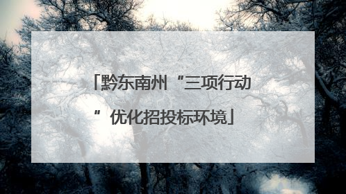 黔东南州“三项行动”优化招投标环境