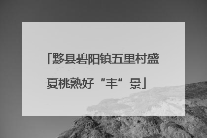 黟县碧阳镇五里村盛夏桃熟好“丰”景