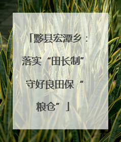 黟县宏潭乡：落实“田长制” 守好良田保“粮仓”
