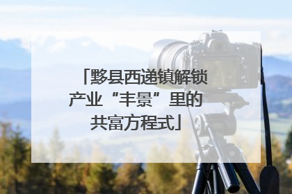 黟县西递镇解锁产业“丰景”里的共富方程式