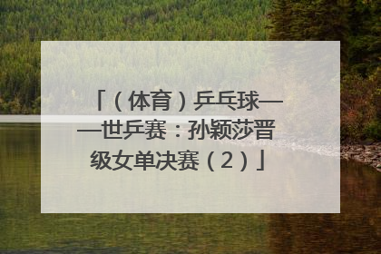 （体育）乒乓球——世乒赛：孙颖莎晋级女单决赛（2）