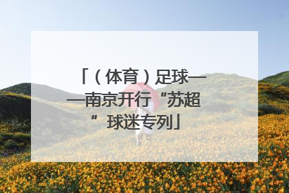 （体育）足球——南京开行“苏超”球迷专列