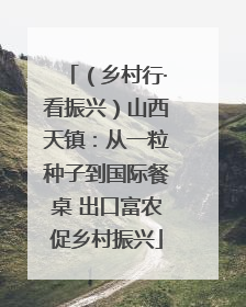 （乡村行·看振兴）山西天镇：从一粒种子到国际餐桌 出口富农促乡村振兴