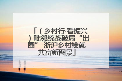 （乡村行·看振兴）毗邻统战破局“出圈” 浙沪乡村绘就共富新图景