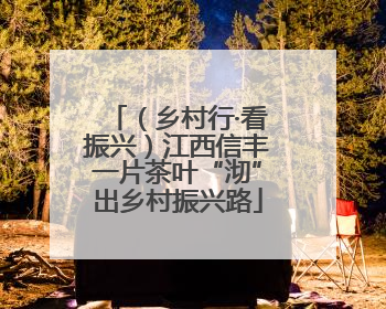 （乡村行·看振兴）江西信丰一片茶叶“沏”出乡村振兴路