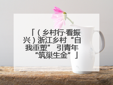 （乡村行·看振兴）浙江乡村“自我重塑” 引青年“筑巢生金”