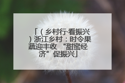 （乡村行·看振兴）浙江乡村：时令果蔬迎丰收 “甜蜜经济”促振兴