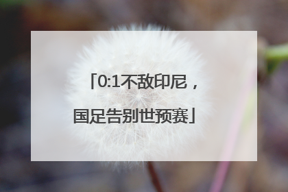 0:1不敌印尼，国足告别世预赛