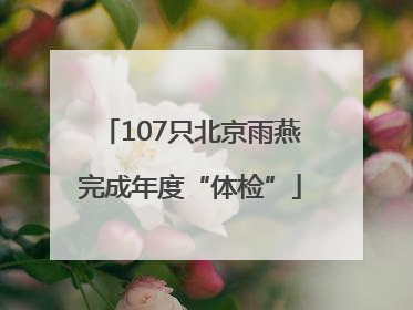 107只北京雨燕完成年度“体检”
