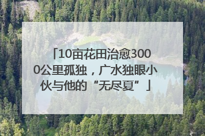 10亩花田治愈3000公里孤独，广水独眼小伙与他的“无尽夏”