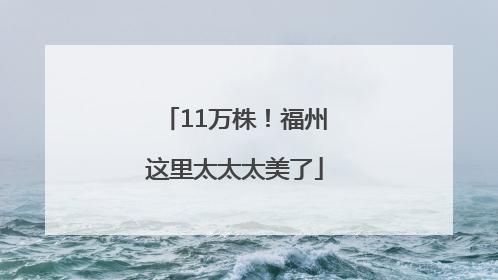 11万株！福州这里太太太美了