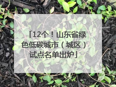 12个！山东省绿色低碳城市（城区）试点名单出炉