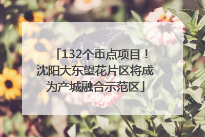 132个重点项目！沈阳大东望花片区将成为产城融合示范区