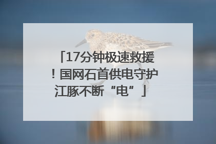 17分钟极速救援！国网石首供电守护江豚不断“电”