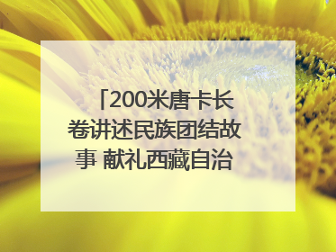 200米唐卡长卷讲述民族团结故事 献礼西藏自治区成立60周年