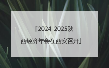 2024-2025陕西经济年会在西安召开