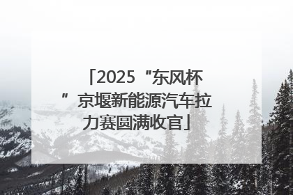 2025“东风杯”京堰新能源汽车拉力赛圆满收官
