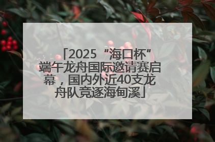 2025“海口杯”端午龙舟国际邀请赛启幕，国内外近40支龙舟队竞逐海甸溪