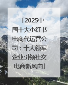 2025中国十大小红书电商代运营公司：十大领军企业引领社交电商新风向
