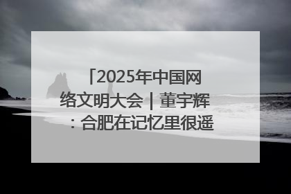 2025年中国网络文明大会｜董宇辉：合肥在记忆里很遥远也很亲切