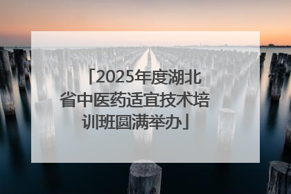 2025年度湖北省中医药适宜技术培训班圆满举办