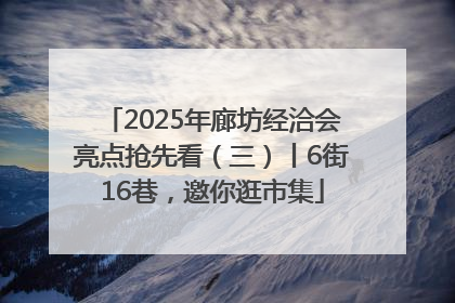 2025年廊坊经洽会亮点抢先看（三）丨6街16巷，邀你逛市集