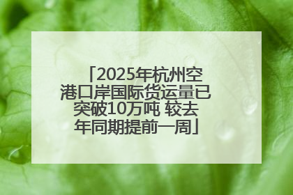 2025年杭州空港口岸国际货运量已突破10万吨 较去年同期提前一周
