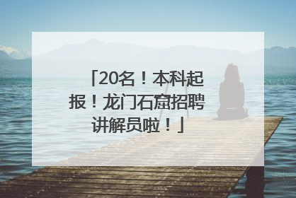 20名！本科起报！龙门石窟招聘讲解员啦！