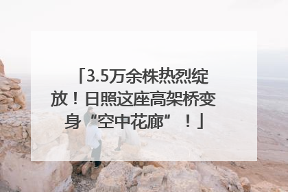 3.5万余株热烈绽放！日照这座高架桥变身“空中花廊”！