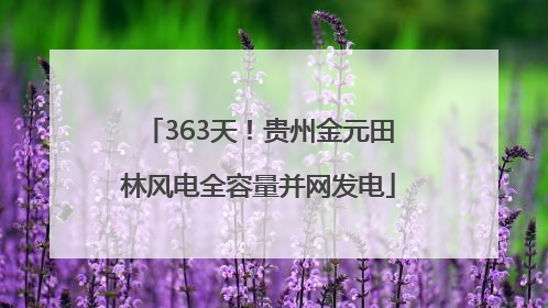 363天！贵州金元田林风电全容量并网发电