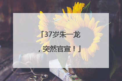 37岁朱一龙，突然官宣！