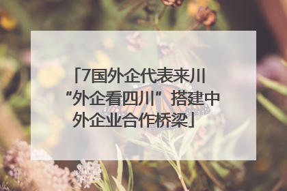 7国外企代表来川 “外企看四川”搭建中外企业合作桥梁