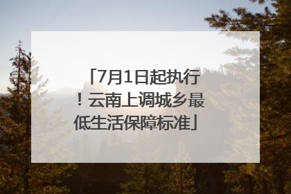 7月1日起执行！云南上调城乡最低生活保障标准