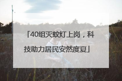 40组灭蚊灯上岗，科技助力居民安然度夏
