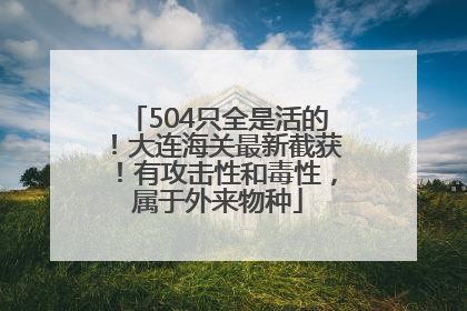 504只全是活的！大连海关最新截获！有攻击性和毒性，属于外来物种
