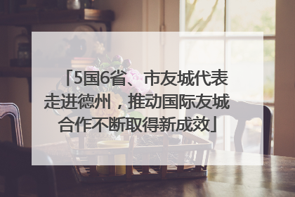 5国6省、市友城代表走进德州，推动国际友城合作不断取得新成效