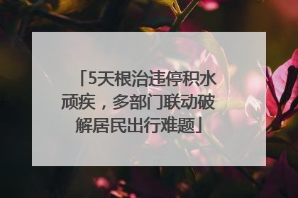 5天根治违停积水顽疾，多部门联动破解居民出行难题