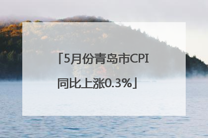 5月份青岛市CPI同比上涨0.3%
