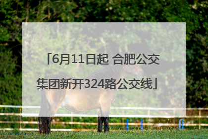 6月11日起 合肥公交集团新开324路公交线
