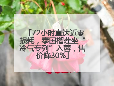 72小时直达近零损耗，泰国榴莲坐“冷气专列”入蓉，售价降30%