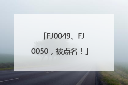FJ0049、FJ0050，被点名！